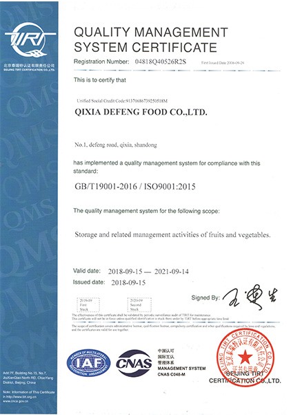 ISO9001：2015 质量管理体系认证证书