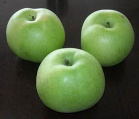 Green Jewel pear